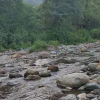 اجاره روزانه ویلا دوخوابه دردل طبیعت( قلعه رودخان)|اجارهٔ کوتاهمدت ویلا و باغ|فومن, |دیوار