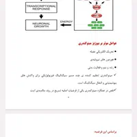 مرکز تخصصی خدمات کافینت و تایپ و ترجمه|خدمات رایانه‌ای و موبایل|تبریز, |دیوار