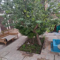 اجاره کوتاه مدت عمارت قاجاری در مهدی شهر سمنان|اجارهٔ کوتاه‌مدت ویلا و باغ|سمنان, |دیوار