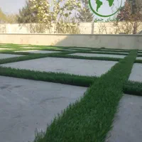 فروش چمن مصنوعی اقتصادی|خدمات باغبانی و درختکاری|اصفهان, قائمیه|دیوار