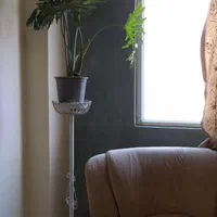 سویت اجاره