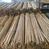 فروش عمده ی قیم بامبو ، قیم نهال ، قیم درخت