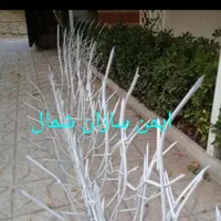حفاظ شاخ گوزنی