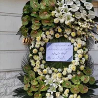 گل فروشی عمده و تک تاج گل|گل و گیاه طبیعی|تهران, توحید|دیوار