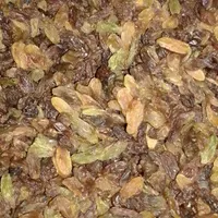 کشمش خراسان|خوردنی و آشامیدنی|رشت, پاستوریزه|دیوار