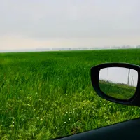 فروش ۳ هکتار زمین کشاورزی صالح اباد