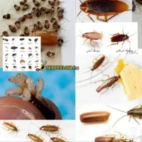 سمپاشی باضمانت کتبی دریک مرحله سم پاشی سوسک وساس و|خدمات نظافت|تهران, تهرانپارس شرقی|دیوار