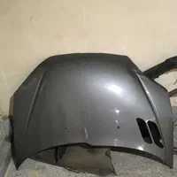 کاپوت درب موتور فلاپ گلگیر 206 خاکستری نوک مدادی