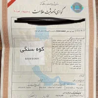 علامت تجاری خاص وبا سابقه درخشان درحوزه مواد غذایی
