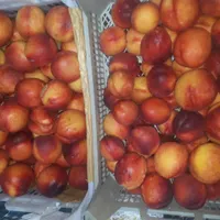 اجاره مغازه ۳۰ متری در لشکر|اجارهٔ مغازه و غرفه|تهران, دبستان|دیوار