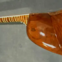 تار حرفهای