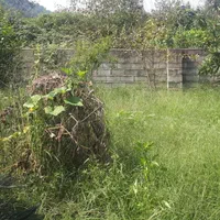 فروش زمین سنددار|فروش زمین و ملک کلنگی|لاهیجان, امیرشهید|دیوار