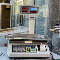 تعمیرات تخصصی ترازو باسکول کالباسبر|فروشگاه و مغازه|پاکدشت, |دیوار