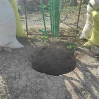 تعیین محل حفاری چاه آب/آبیابی با دستگاه/ردیابی حفر|خدمات باغبانی و درختکاری|رشت, آزادگان|دیوار