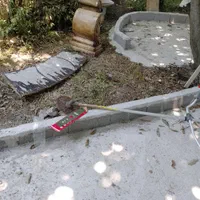 محوطه سازی.هرس گل و نهال .شخم.علف زنی.سم زنی|خدمات باغبانی و درختکاری|رشت, آزادگان|دیوار