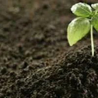 خاک باغچه،خاک کشاورزی خاک برای گلخانه ها خاک سیاه