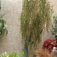 درخچه مصنوعی