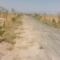 قطعات ۴۰۰متری داخل مجتمع کلاکوب|فروش زمین و ملک کلنگی|مشهد, گلبرگ شمالی|دیوار