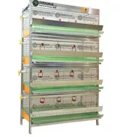 از کارخانه* قفس مرغ قفس کبک قفس بلدرچین قفس جوجه|لوازم جانبی حیوانات|کرمان, |دیوار