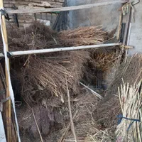 فروش جارو دستی،سیخی،جارو شهرداری،کلی جزیی درجه یک|لوازم نظافت|مشهد, طلاب|دیوار