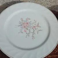 بشقاب چینی|ظروف سرو و پذیرایی|یزد, |دیوار