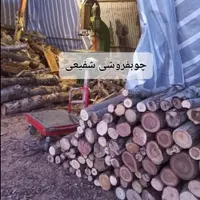 چوب هیزم درخت برای دورهمی و رستوران و بخاری هیزمی|عمده‌فروشی|تهران, شهرک ابوذر|دیوار