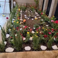 خدمات باغبانی هرسکاری گل کاری درتمام نقاط تهران و.|خدمات باغبانی و درختکاری|تهران, تهرانپارس شرقی|دیوار