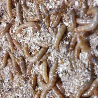 کار خانگی و صنعتی میلورم