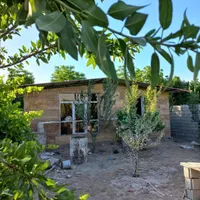 چهاردیواری باغ وباغچه_زمین باغی _باسندوانشعابات