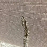 شرکت موریانه زدایی و سم پاشی با ضمانت نامه کتبی|خدمات نظافت|خرمآباد, |دیوار