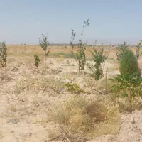 زمین ملکی ۳۰۰متری با وکالت کلاکوب|فروش زمین و ملک کلنگی|مشهد, امام خمینی|دیوار