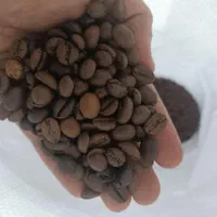 پخش دان قهوه مستقیم از روستری روبستا و عربیکا و..|خوردنی و آشامیدنی|مشهد, فرهنگ|دیوار
