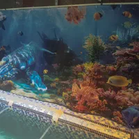 اجاره روزانه کوتاه مدت ویلای استخر دار|اجارهٔ کوتاهمدت ویلا و باغ|آستارا, |دیوار