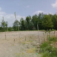 فروش زمین تجاری مسکونی3000متری در محدوده رشت|فروش زمین و ملک کلنگی|رشت, فلسطین|دیوار