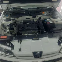 پژو پارس LX TU5، مدل ۱۳۹۹