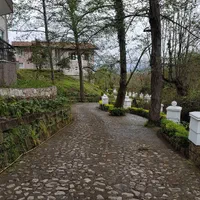 دوبلکس۳۰۰متری پلاک یک جنگل رودخانه سندتکبرگ چمستان|فروش خانه و ویلا|نور, |دیوار