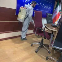 سمپاشی و سم پاشی تخصصی ساس|خدمات نظافت|رشت, کوی جام جم|دیوار