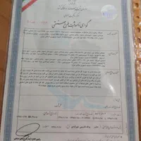کلیه خدمات ثبتی سفارشی|خدمات مالی، حسابداری، بیمه|مشهد, احمدآباد|دیوار