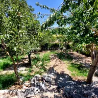 ۳۶۰ مترچهاردیواری سند تک برگ در کردان‌.سهیلیه|فروش زمین و ملک کلنگی|کرج, فاز ۱ مهرشهر|دیوار
