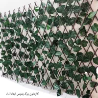 ریسه اکاردئونی پتوس انگوری شمعدونی برای تزئین تراس|مصالح و تجهیزات ساختمان|تهران, هاشم‌آباد|دیوار