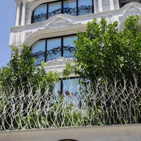 مرکز حفاظ دزدگیر نرده دیواری بوته ای و شاخ گوزنی|مصالح و تجهیزات ساختمان|شیراز, گلشن|دیوار