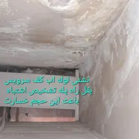 تشخیص با دستگاه .رفع نم و عایق بندی نانو|خدمات پیشه و مهارت|نیشابور, جمهوری|دیوار