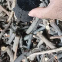 زغال کبابی با کیفیت|عمدهفروشی|تهران, بروجردی|دیوار