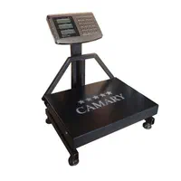 باسکول 100 کیلویی