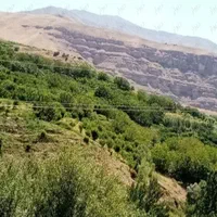 خونه دربست گلدشت دوخوابه حیاط دار فول امکانات|اجارهٔ کوتاه‌مدت آپارتمان و سوئیت|بروجرد, |دیوار