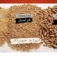 انوااع جوجه عمده قسططی شرایطی +مشاوه سالن پرورش|حیوانات مزرعه|تهران, اتابک|دیوار