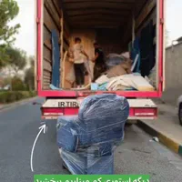 میز ناخن دونفره کد ۷۰۰|آرایشگاه و سالنهای زیبایی|تبریز, |دیوار