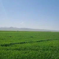 چندین قطعه زمین در بهترین منطقه ویژه اقتصادی|فروش دفتر صنعتی، کشاورزی، تجاری|کوهسار (البرز), |دیوار