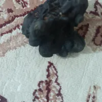 شهاب|کلکسیون و سرگرمی|ابهر, |دیوار