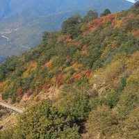 ویلایی با تراس بزرگ وچشم اندازی|اجارهٔ کوتاهمدت ویلا و باغ|علیآباد کتول, |دیوار